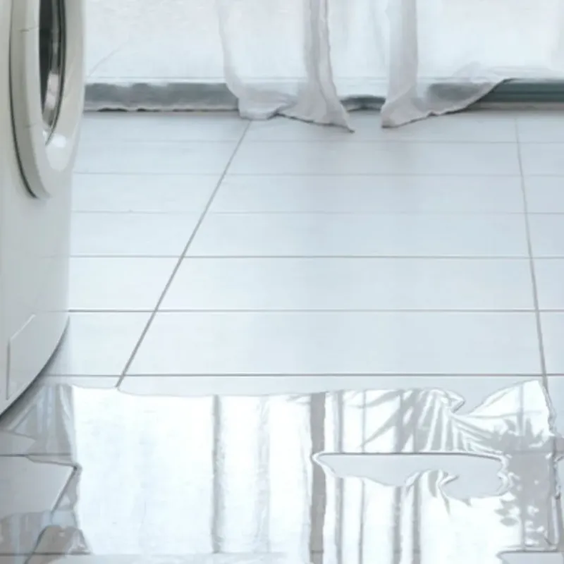 Appliance Leak Cleanup in Pandora, OH