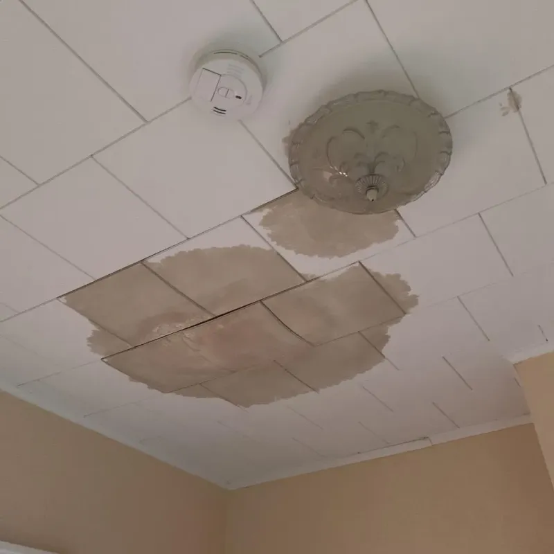 Ceiling Water Damage Repair in Pandora, OH