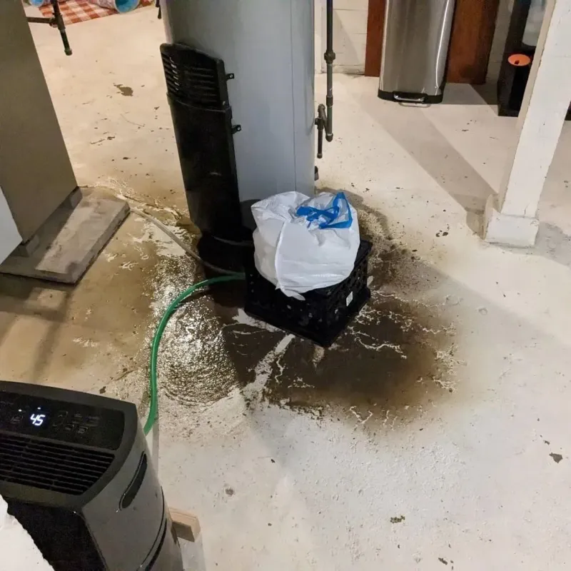 Sewage Backup Cleanup Service in Pandora, OH